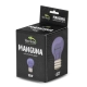 Terrario Manguna Moonlight Lamp - żarówka nocna 50W-2135732