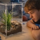 Terrario MicroAir Hab - terrarium akrylowe 12x12x20cm-2135865