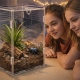 Terrario MicroAir Hab - terrarium akrylowe 12x12x20cm-2135867