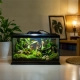 Terrario Nanoray Mini LED 6W - oświetlenie do terrarium 3w1-2135976
