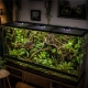 Terrario Nanoray Mini LED 6W - oświetlenie do terrarium 3w1-2135980