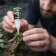 Terrario Plantir 20g - klej do dekoracji kamieni i korzeni w terrarium-2136311