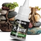 Terrario Plantir 20g - klej do dekoracji kamieni i korzeni w terrarium-2136320