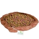 Terrario Natural Bowl – Miska do Terrarium 20x17x3 cm-2137089