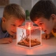 Terrario SpiderNook M - mini terrarium akrylowe z oświetleniem-2137217