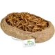 Terrario Rock Oasis M – Miska do Terrarium 14,5x11,5x3,5 cm-2137303
