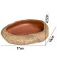 Terrario Rock Oasis L – Miska do Terrarium 17x15x4,5 cm-2137305