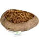 Terrario Rock Oasis L – Miska do Terrarium 17x15x4,5 cm-2137306