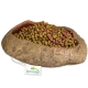 Terrario Rock Oasis L – Miska do Terrarium 17x15x4,5 cm-2137312