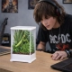 Terrario TerraLoom M - terrarium 10x8x15cm-2137375