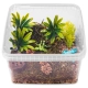 Terrario ReptiBox 19x19x12cm - przeźroczyste terrarium faunarium-2137388