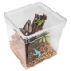 Terrario ReptiBox 19x19x19cm - przeźroczyste terrarium faunarium-2137395