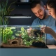Terrario Wood Cave S - kryjówka do terrarium 14x9x7cm-2137584