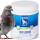 Beyers Bioflorum 450g - odżywka jelitowa-2137975