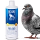Beyers Reload 1000ml - koncentrat regeneracyjny-2137995