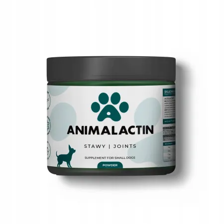 ANIMALACTIN dla małych psów | zdrowe stawy | MicroLactin| wygodne podanie